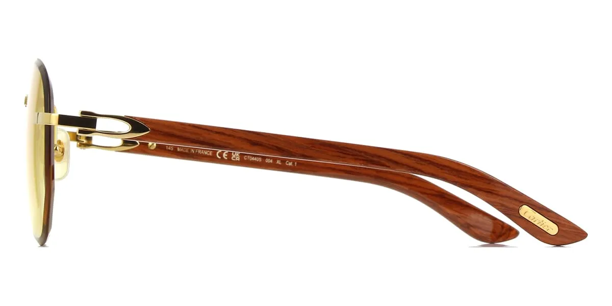 Cartier CT0440S 004