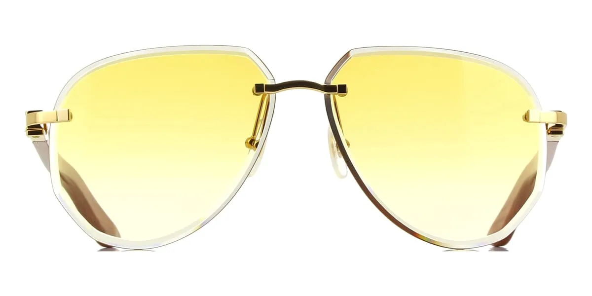 Cartier CT0440S 004