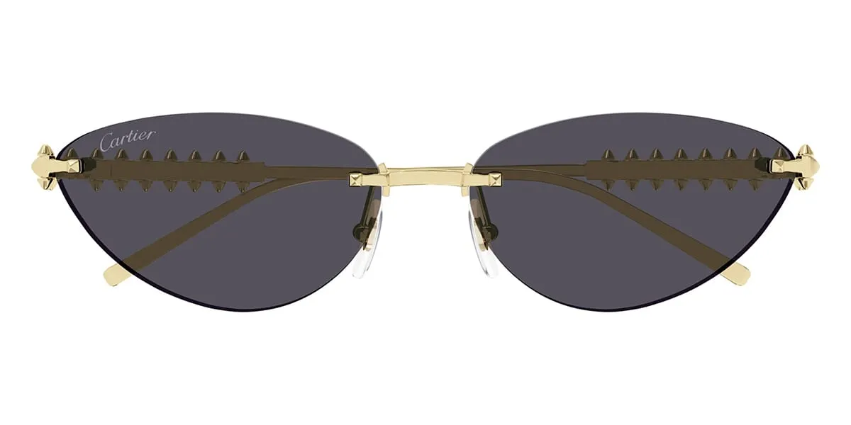 Cartier CT0543S 002