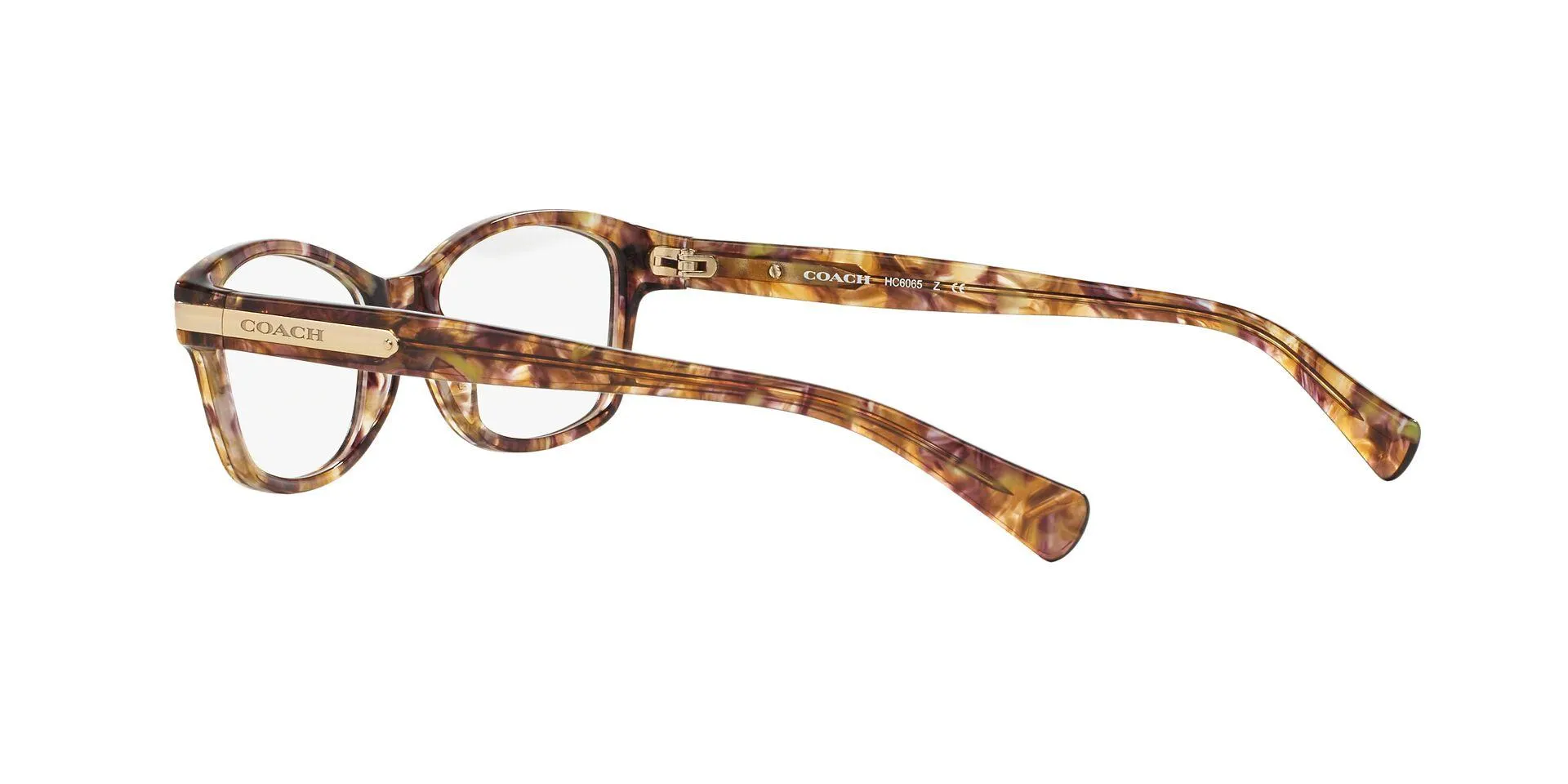 Coach 6065 Eyeglasses