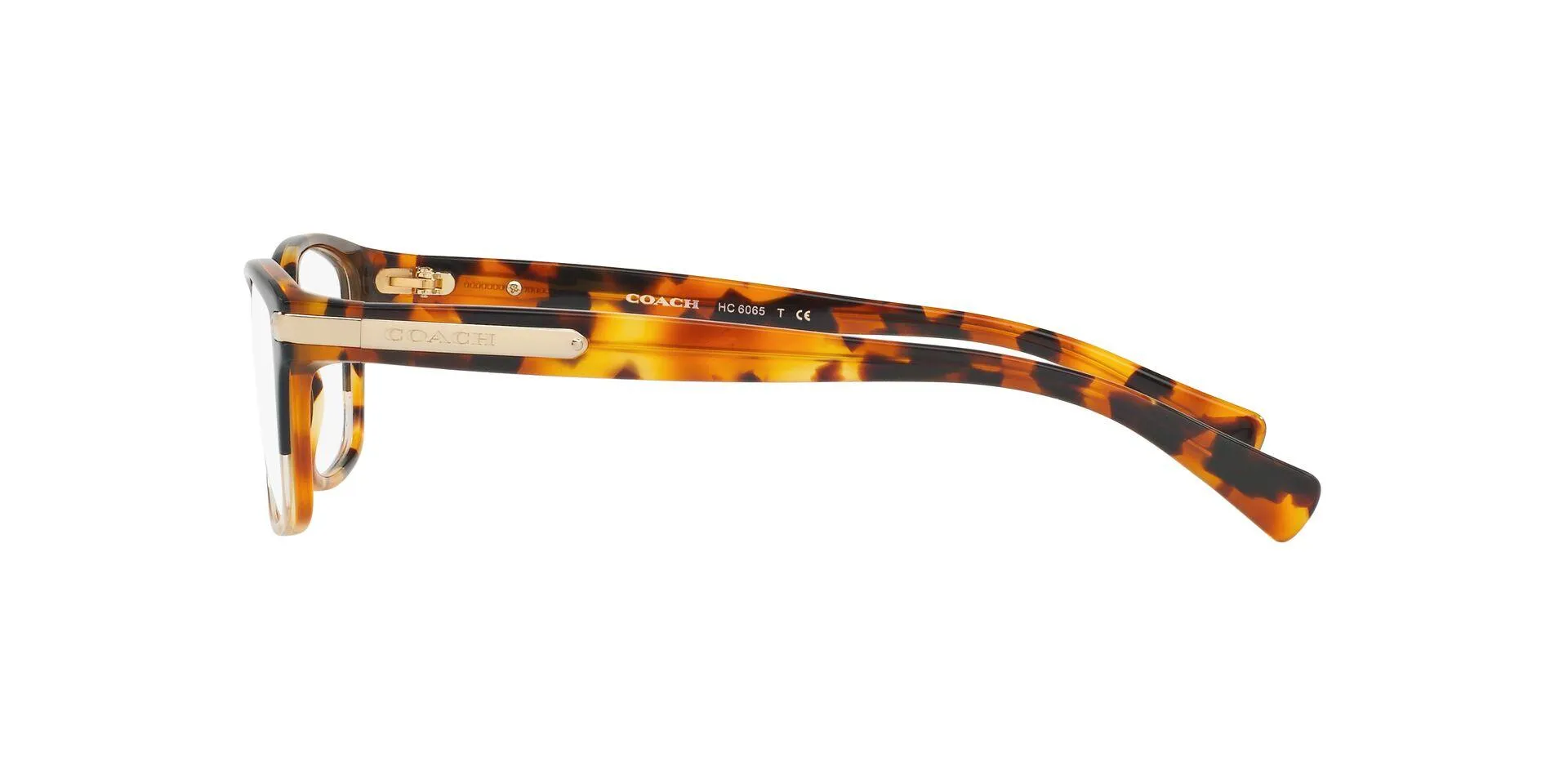 Coach 6065 Eyeglasses