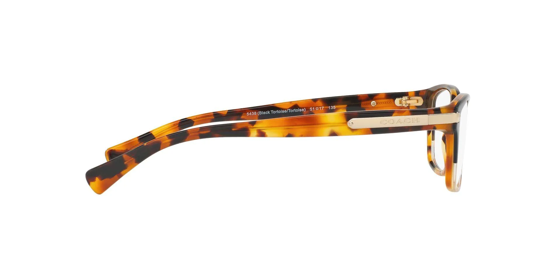 Coach 6065 Eyeglasses