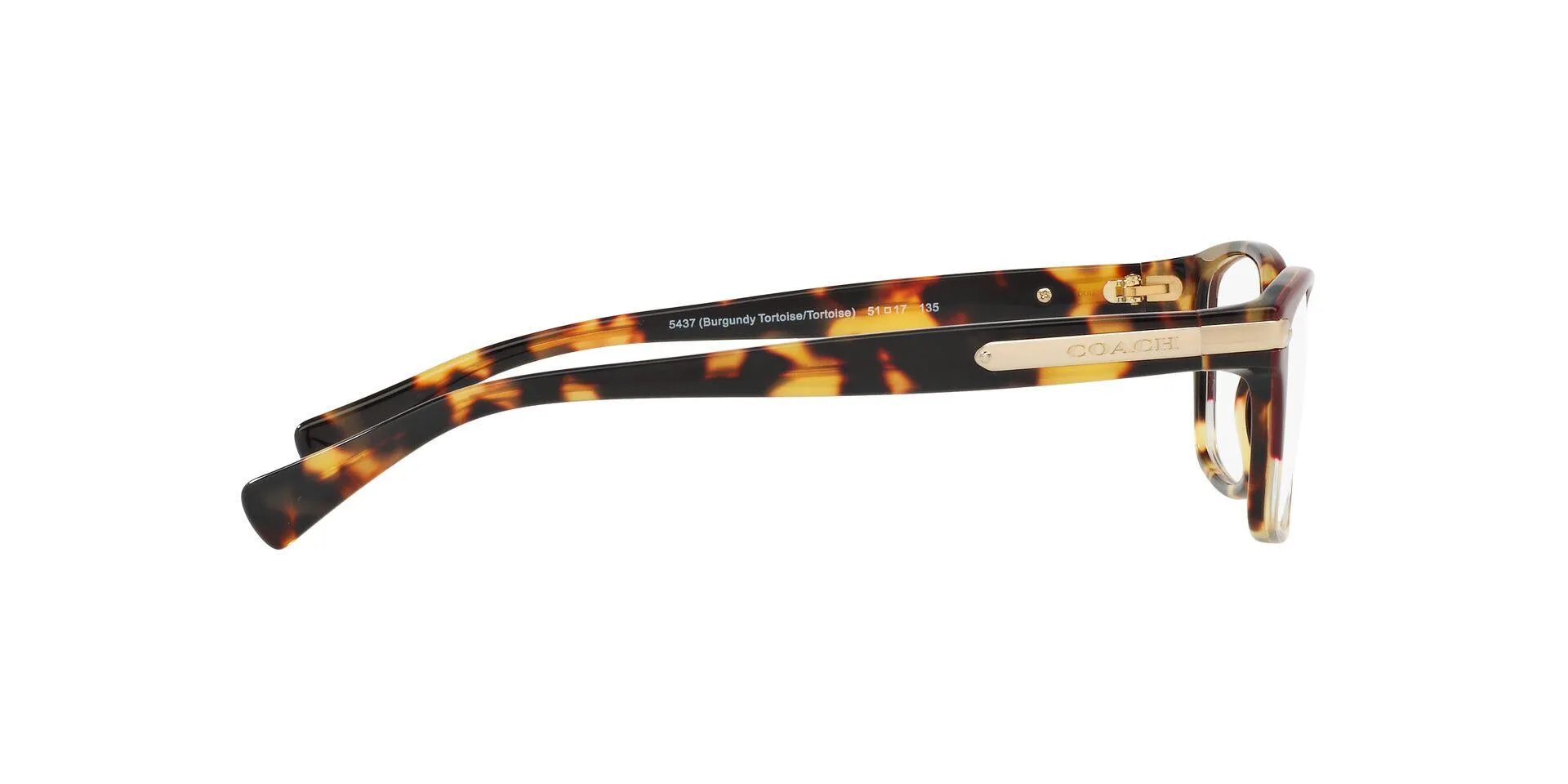 Coach 6065 Eyeglasses