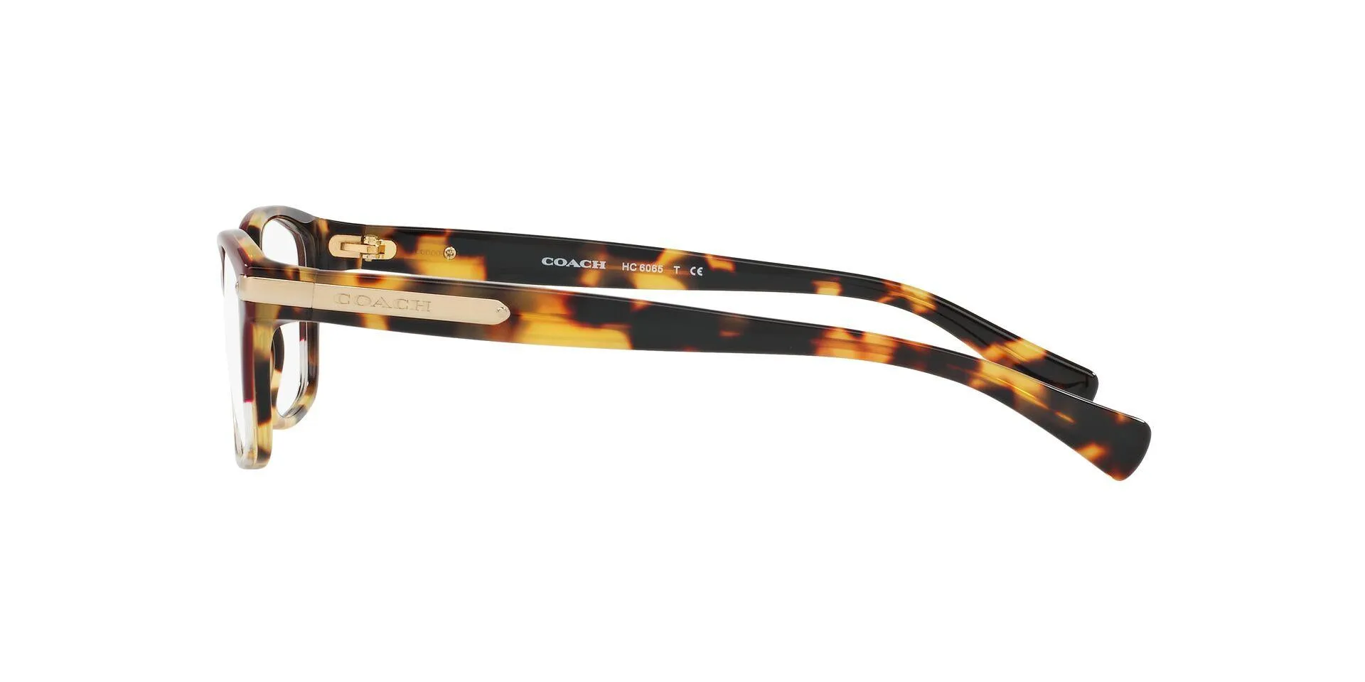 Coach 6065 Eyeglasses