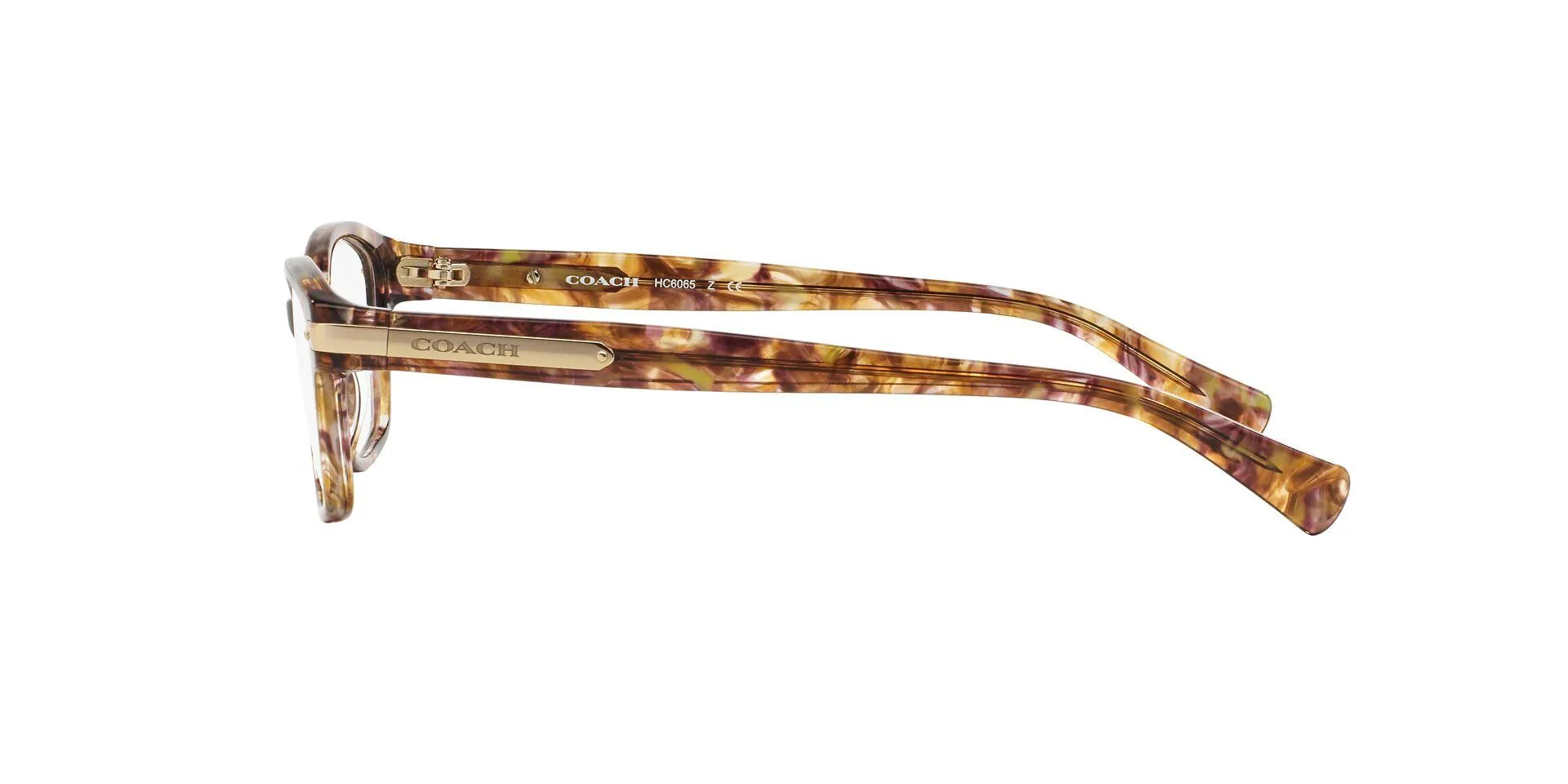 Coach 6065 Eyeglasses