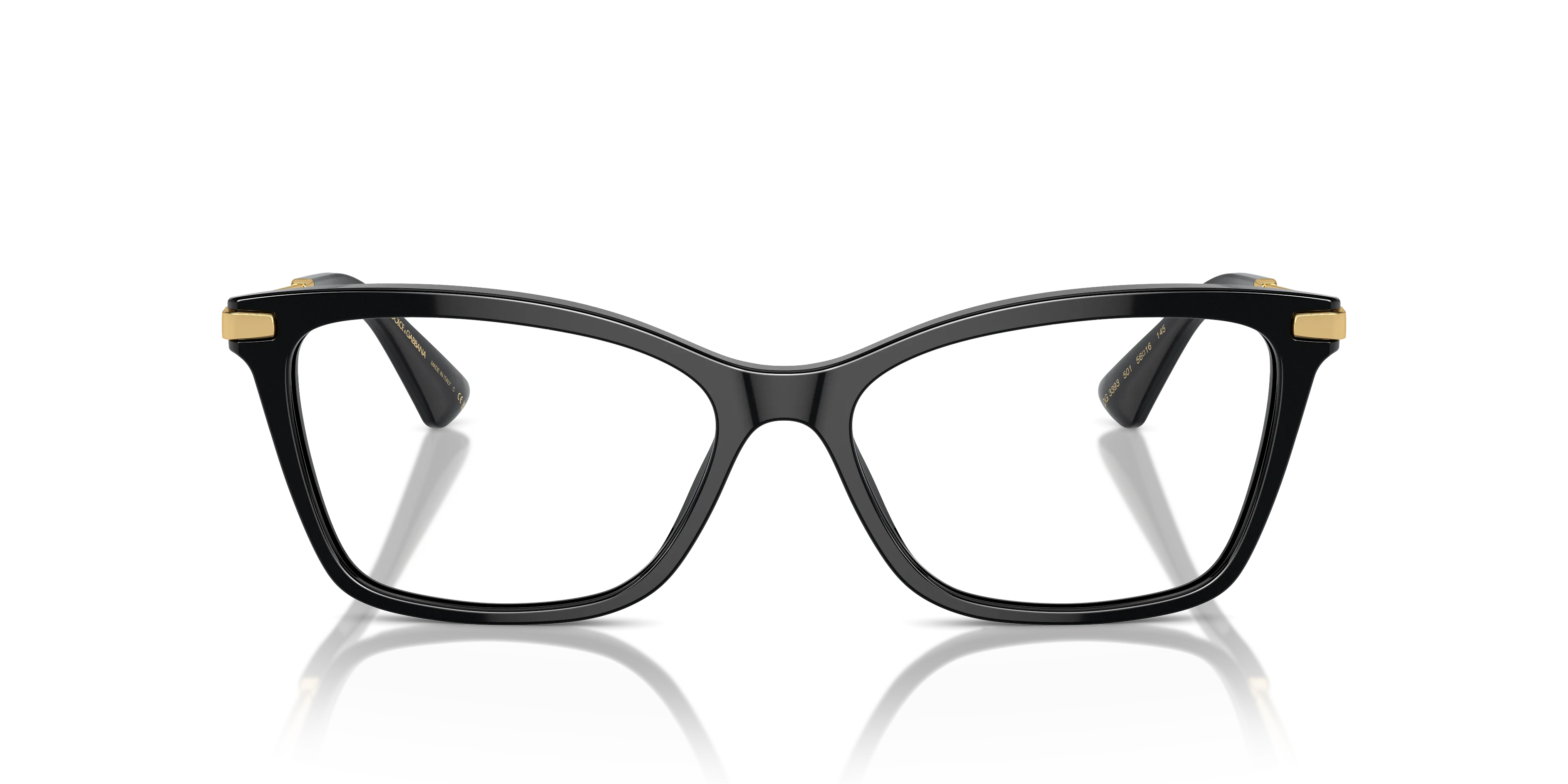 Dolce & Gabbana DG3393 501