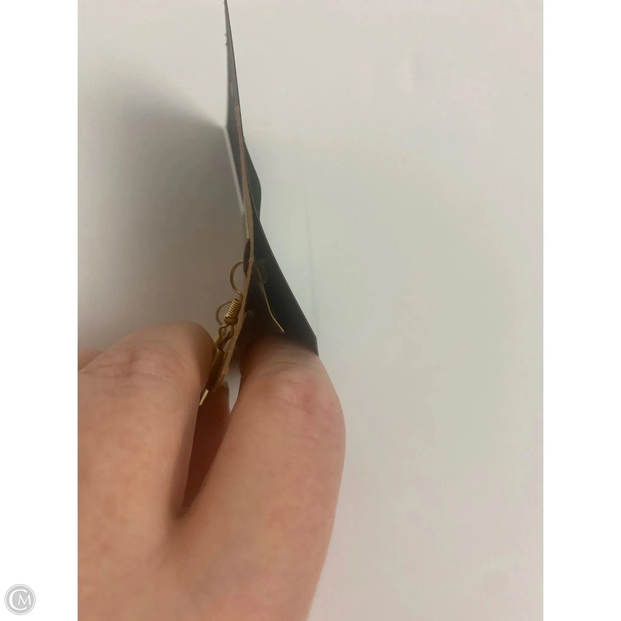 Earrings Other By Plunder