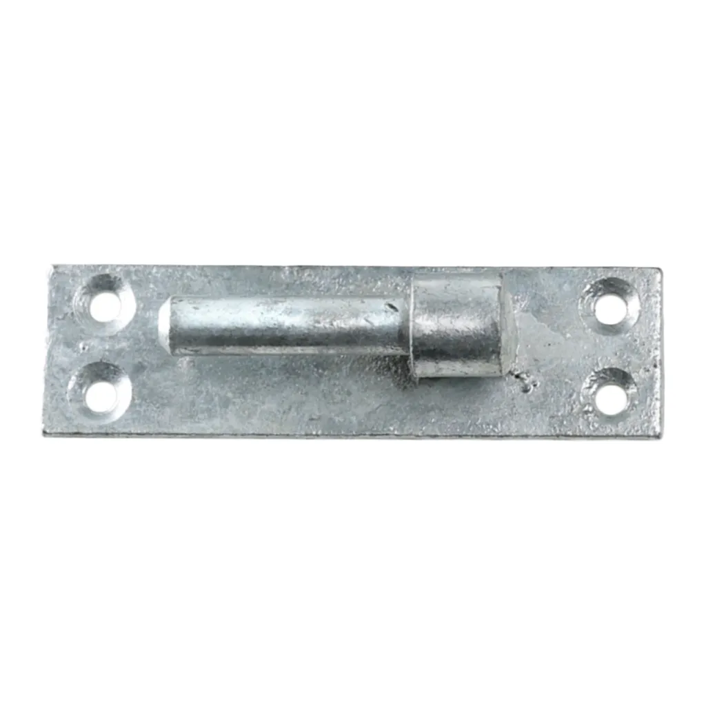 Eliza Tinsley Hook On Plate 19mm