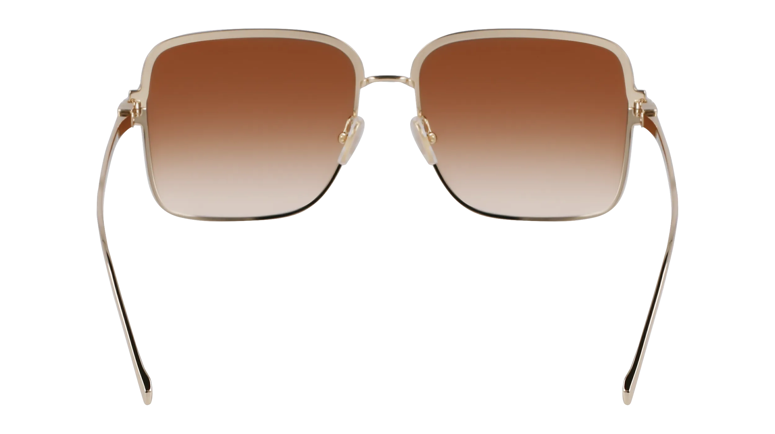 Ferragamo SF317S 704