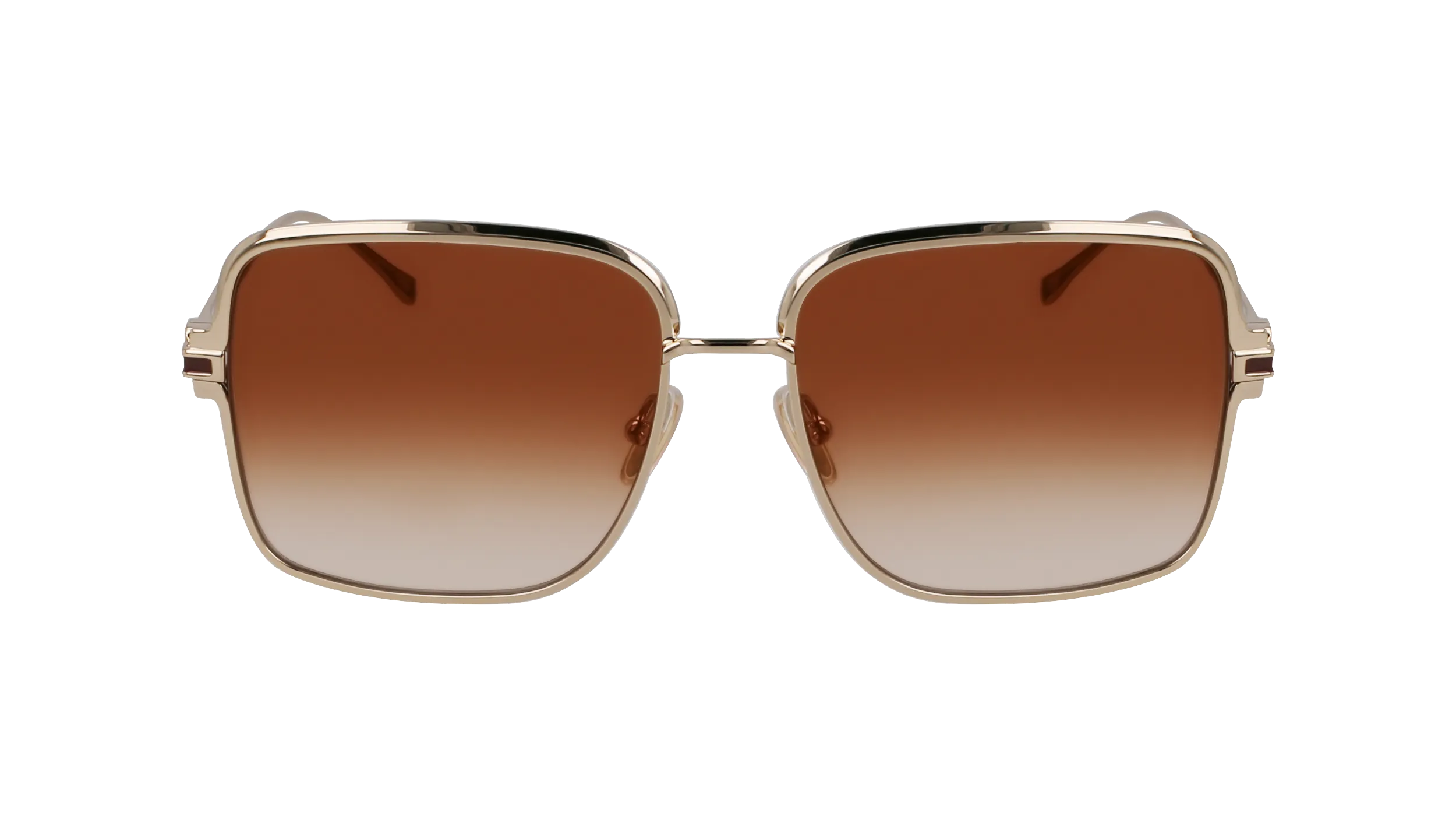 Ferragamo SF317S 704