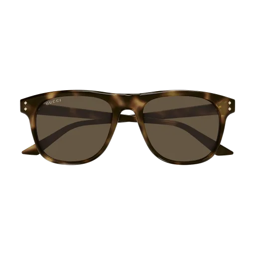 Gucci GG1893S 002