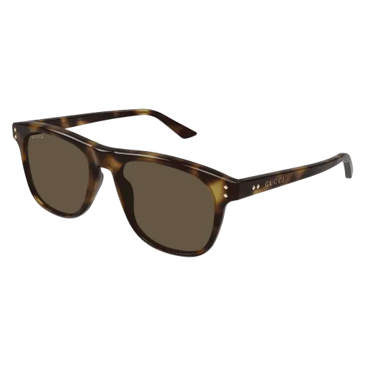 Gucci GG1893S 002
