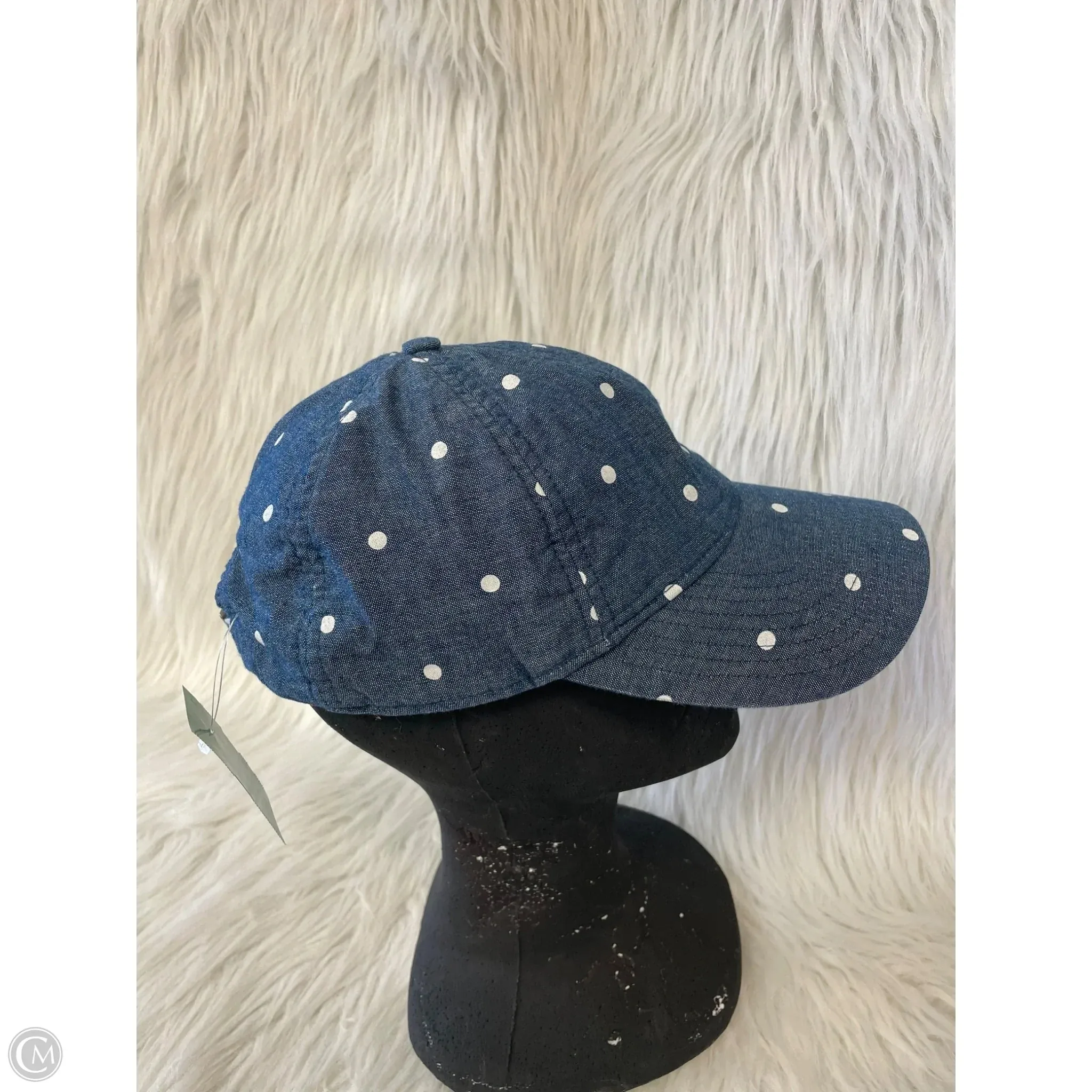 Hat Baseball Cap By J. Crew