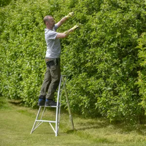 Hendon Standard Tripod Ladder