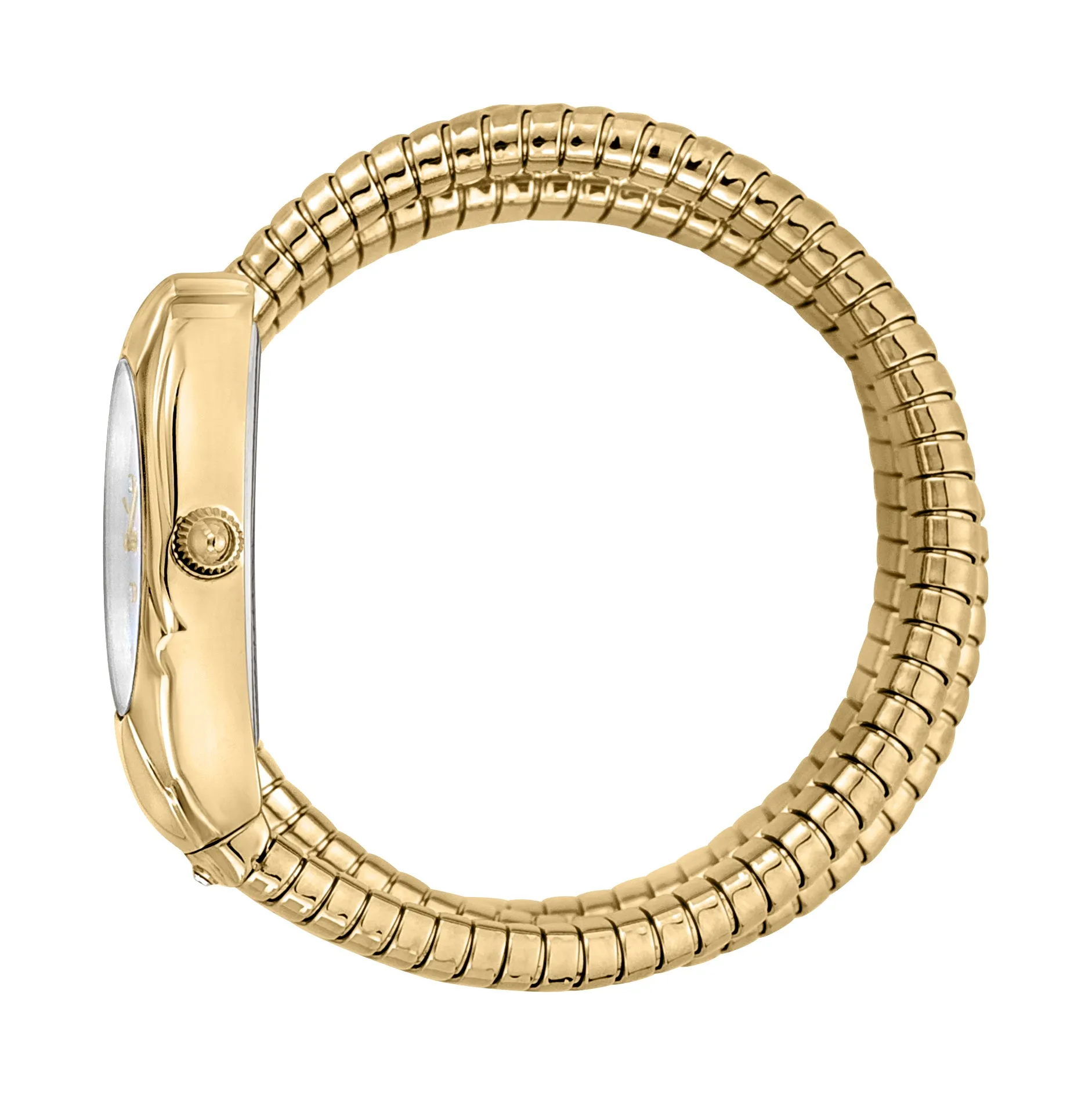 Just Cavalli Women's Snake Watch