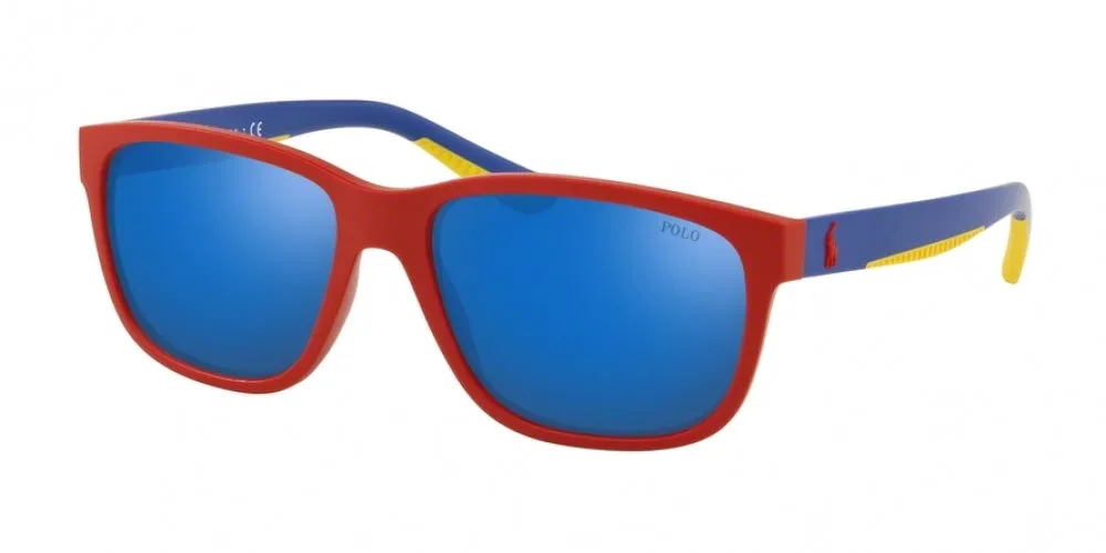 Polo 4142 Sunglasses