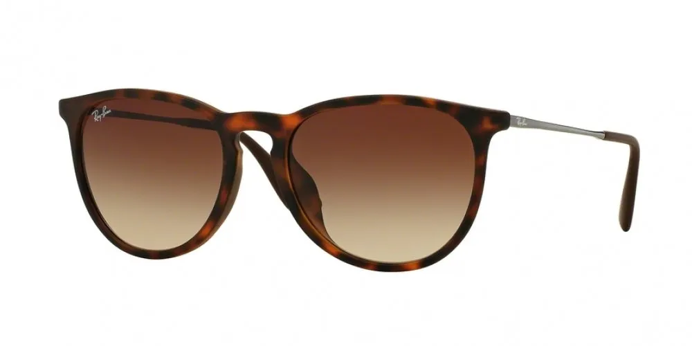Ray-Ban Erika 4171F Sunglasses