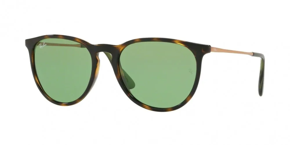 Ray-Ban Erika 4171F Sunglasses