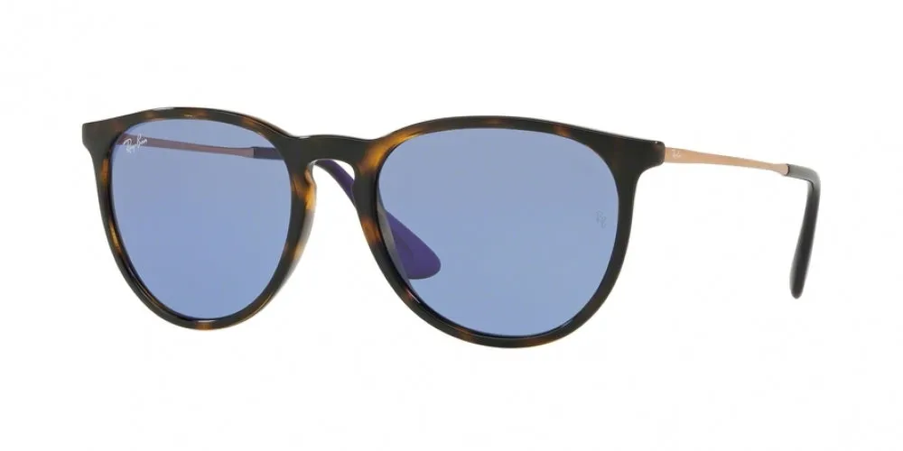 Ray-Ban Erika 4171F Sunglasses