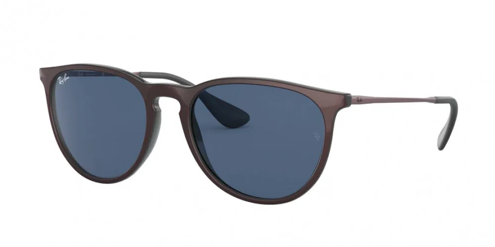 Ray-Ban Erika 4171F Sunglasses