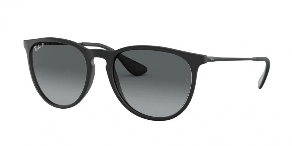 Ray-Ban Erika 4171F Sunglasses