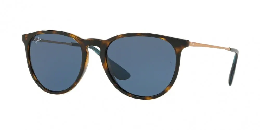 Ray-Ban Erika 4171F Sunglasses