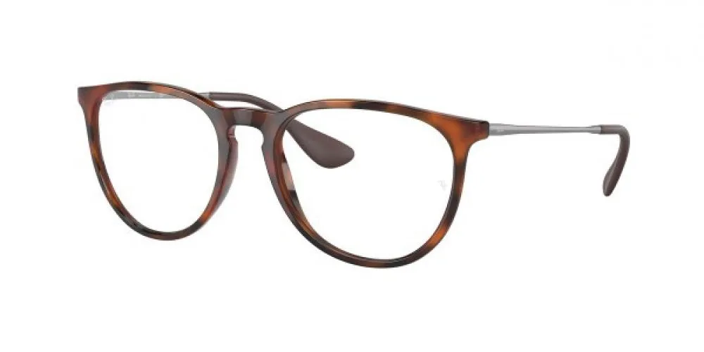 Ray-Ban Erika 4171F Sunglasses
