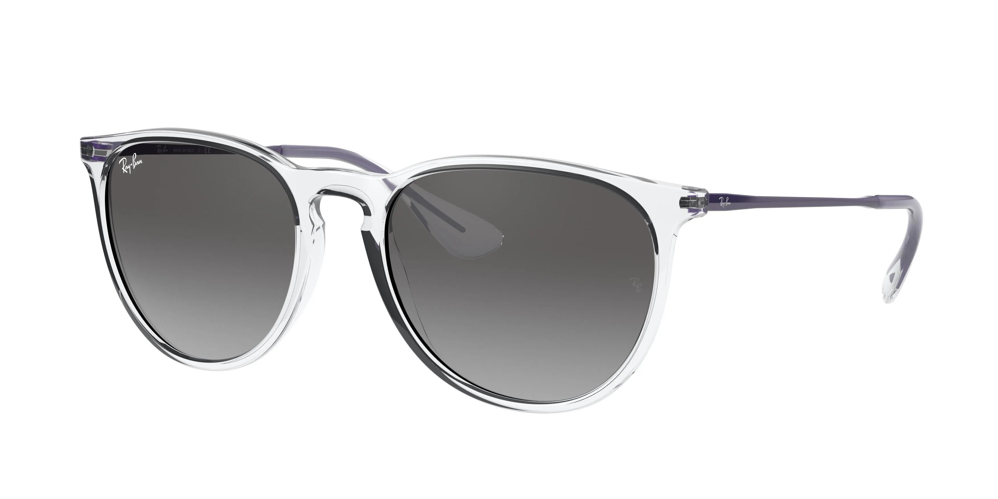 Ray-Ban Erika 4171F Sunglasses