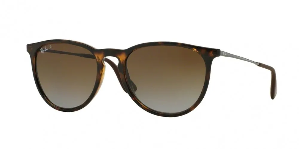 Ray-Ban Erika 4171F Sunglasses