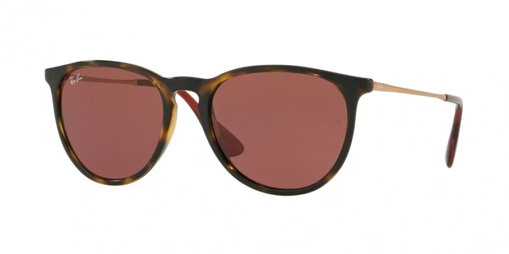Ray-Ban Erika 4171F Sunglasses
