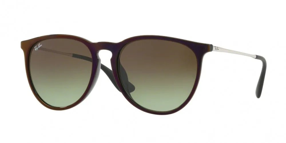 Ray-Ban Erika 4171F Sunglasses
