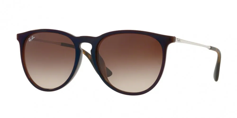 Ray-Ban Erika 4171F Sunglasses