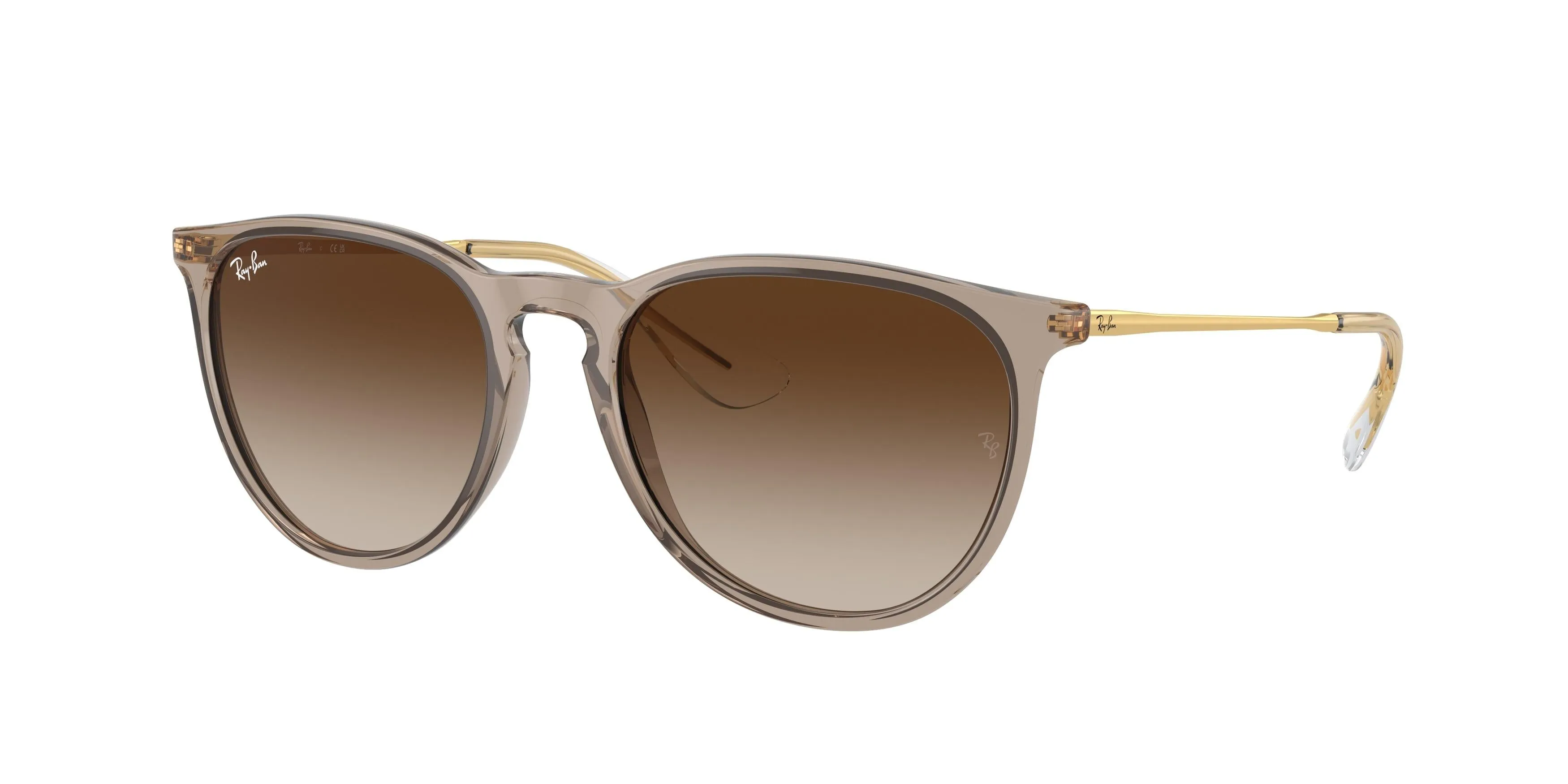Ray-Ban Erika 4171F Sunglasses