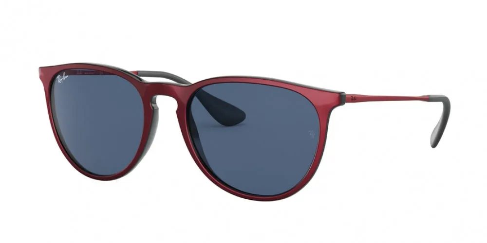 Ray-Ban Erika 4171F Sunglasses