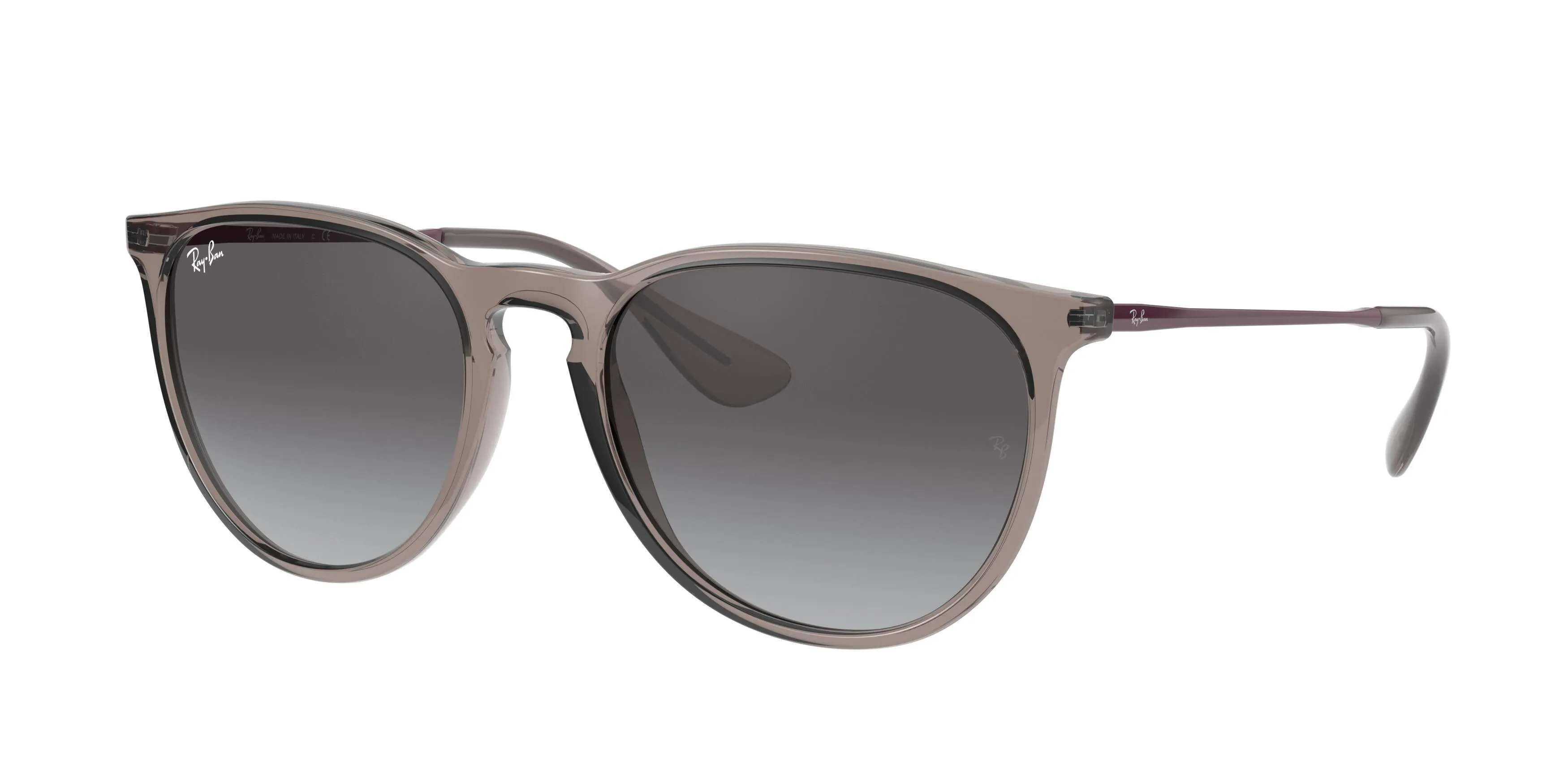Ray-Ban Erika 4171F Sunglasses