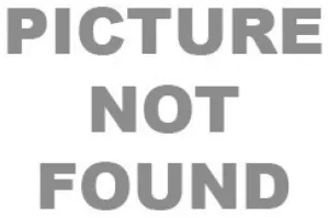 Skechers 1188 Eyeglasses
