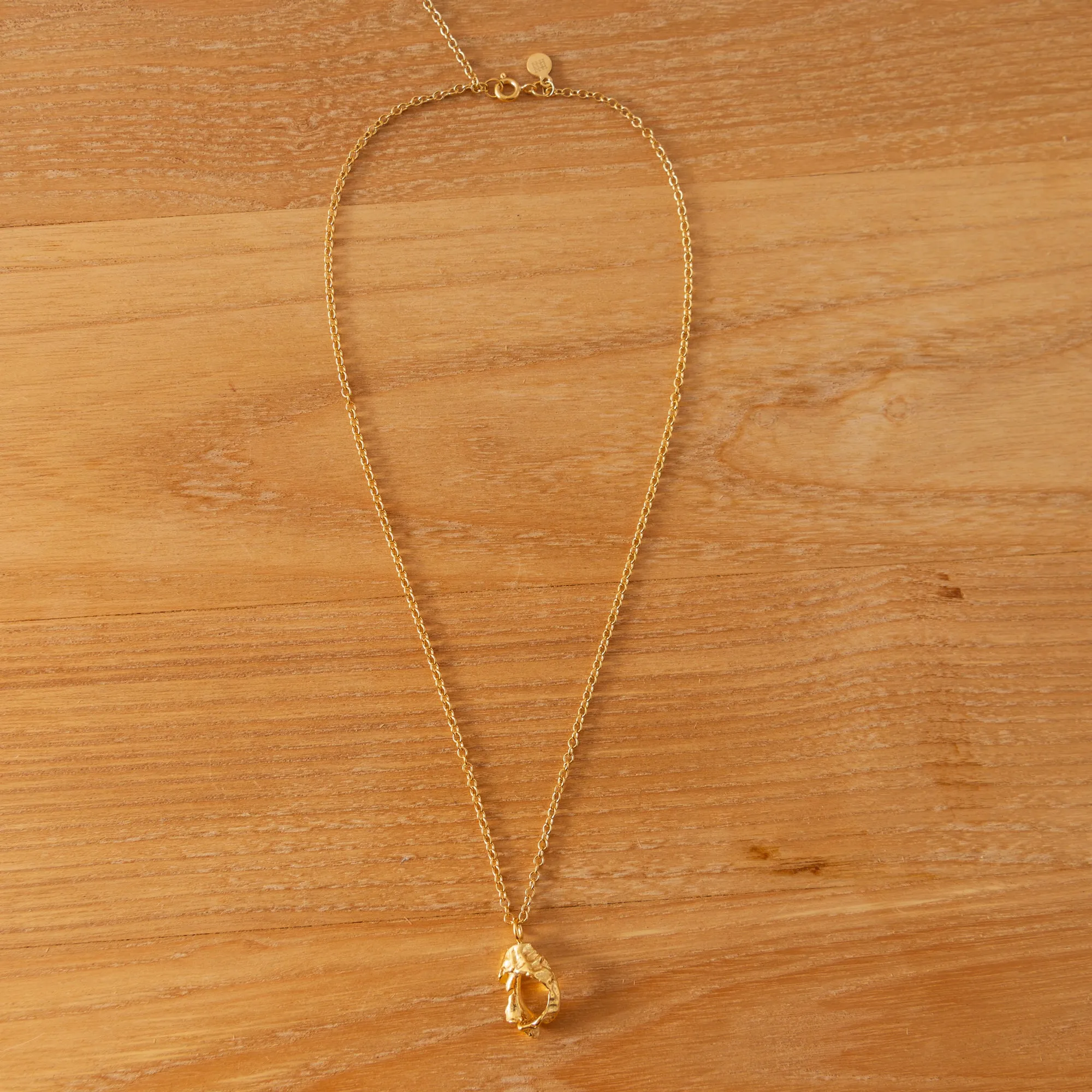 Small Textured Fragmented Shell Necklace