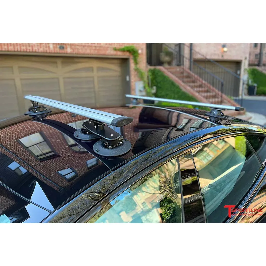 TreeFrog Crossbar Roof Rack (Silver)