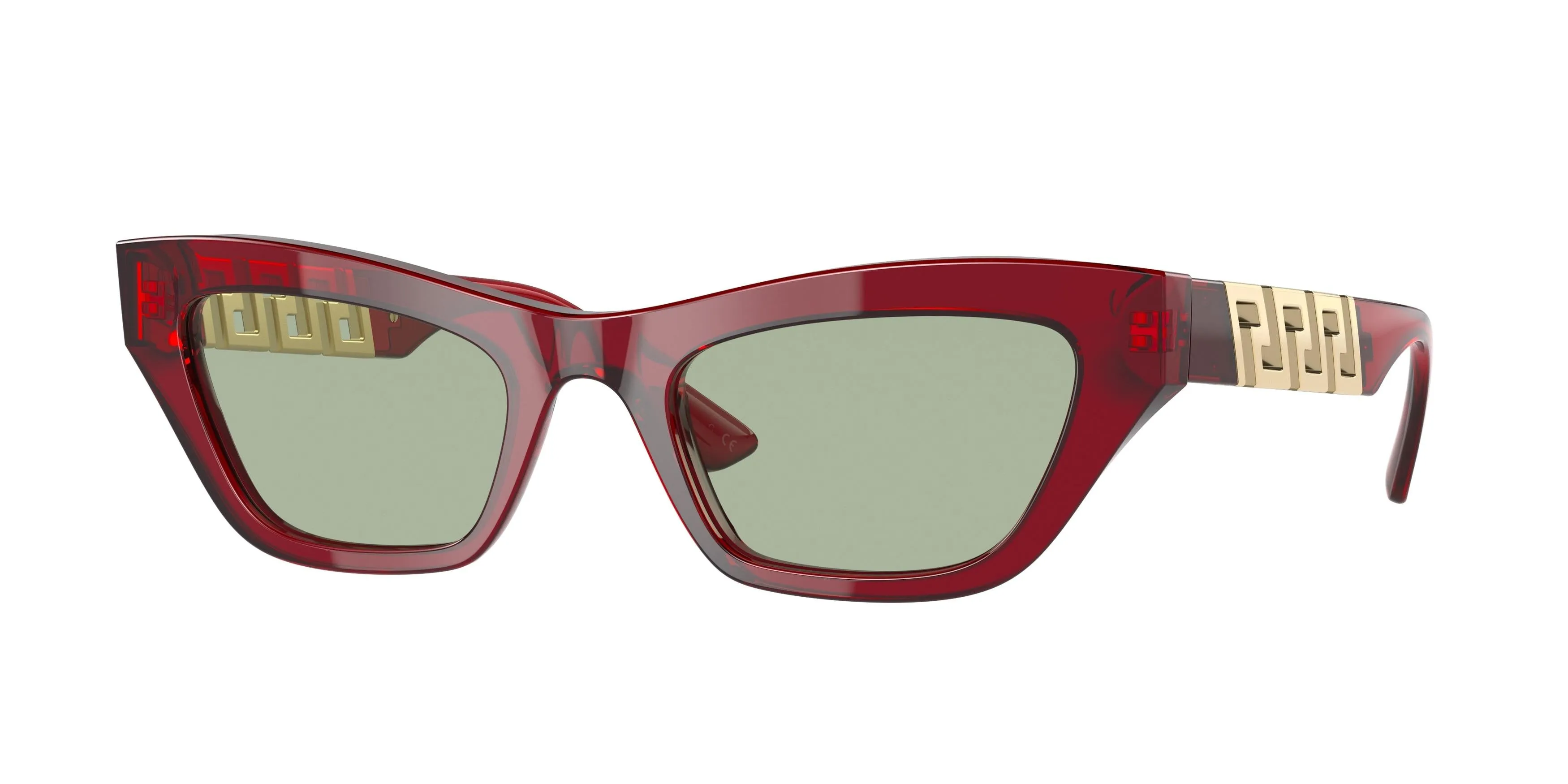 Versace 4419 Sunglasses