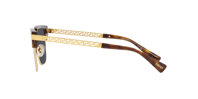 Versace VE4447 108/87
