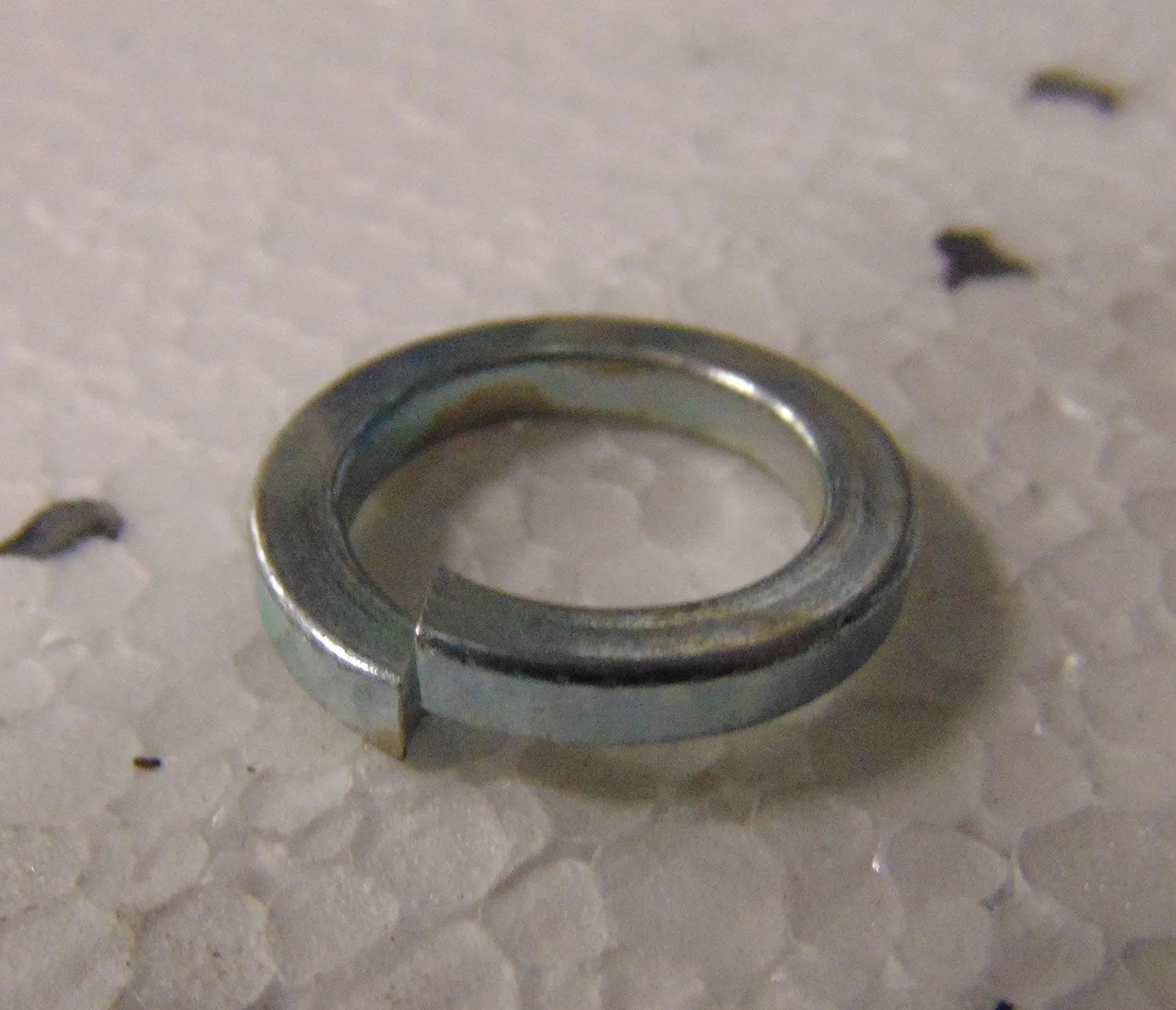 Washer Spring M6 - Each